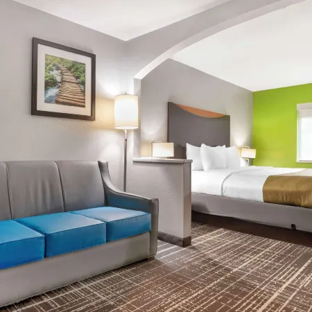 Quality Inn & Suites Birmingham - Highway 280