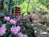 Yachiyo - モトオコノミヤキヤ - BBQ OK & Pet Friendly - Self Check-in Only Hotels in Nabari
