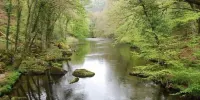 Rock House Cottage - Pet friendly