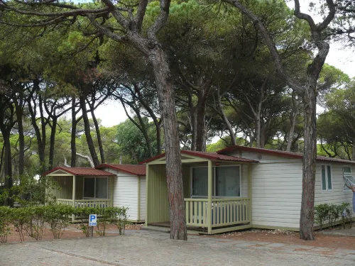 Parque de Campismo Orbitur Costa de Caparica