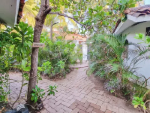 Quinta Feliz Troncones Hotels in Troncones