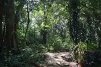 미켈필드 방갈로