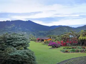 Los Establos Boutique Resort - All Inclusive