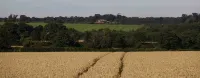 The Saracen's Head