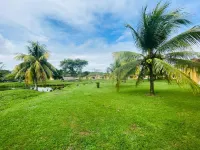 Amatique Bay Hotel Hotels in Puerto Barrios