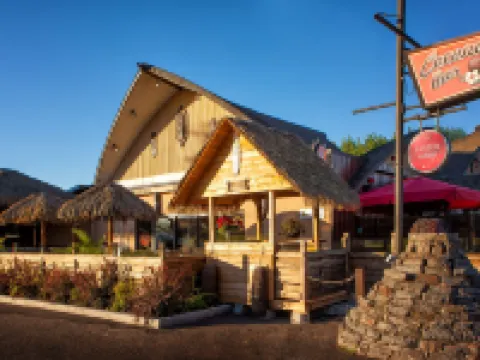 椰子汽車旅館 三河城酒店