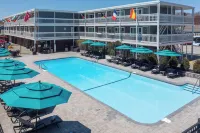 Surfside Hotel and Suites - Beach