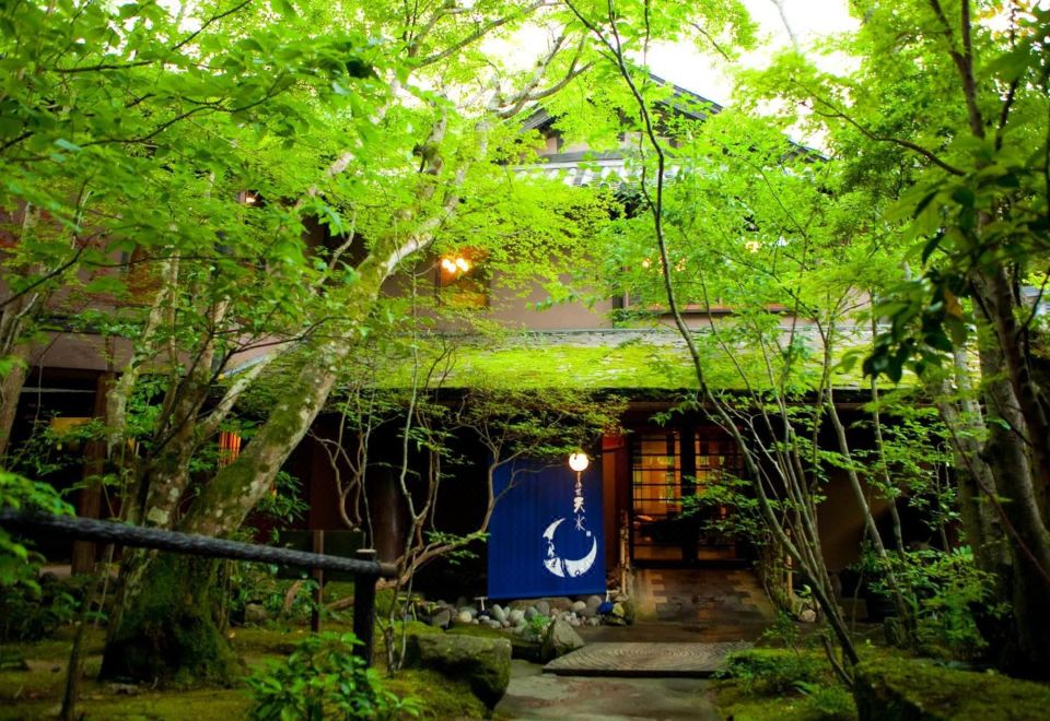 강아지 여행 가방