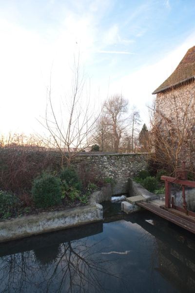 Garden Le Moulin de Dannemarie Photo