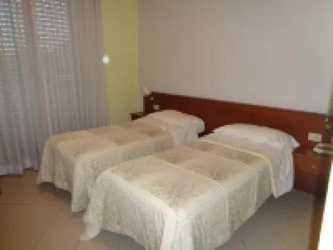 Albergo Hotel Millenium Hotel a Orte