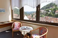 Hotel Restaurant Ketterer am Kurgarten Hotels in Triberg
