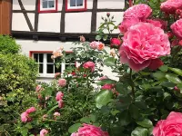 Gesindehaus Bornecke Hotels in Blankenburg