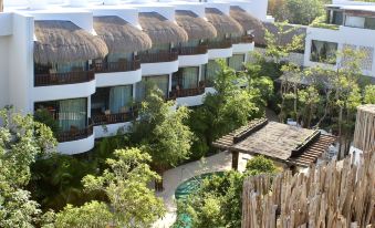 Kimpton Aluna Resort Tulum