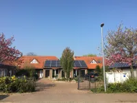 Modern House Gehrden contactless garden