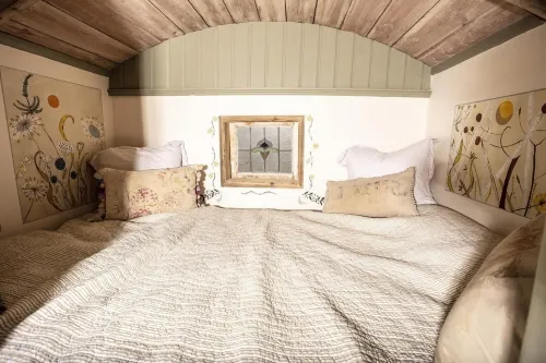 Little Lodge Glamping - 2 Sao
