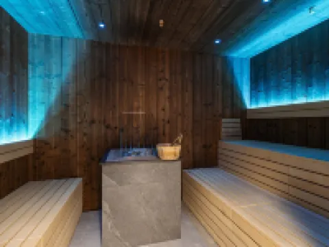 Superior 1-bedroom Apartment Hotels in Schruns