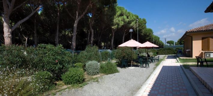 Hotel le Palme Hotels in Orbetello