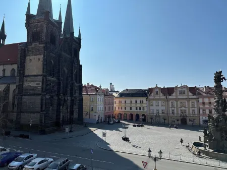 Penzion Tlusta kachna Отели в г. Сеч