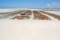 Seasons Lodge Zanzibar Hotels in Kaskazini B