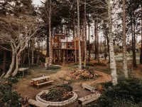 Treehouse over the Water - Eagle's Nest