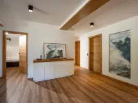 Alpine Homes - Hopfgarten Hotels in Soll