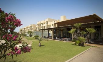 The Navigator - Palm Oasis Alvor