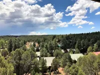 Spacious 2 BR/2BA  with Great Views near Fool Hollow Lake