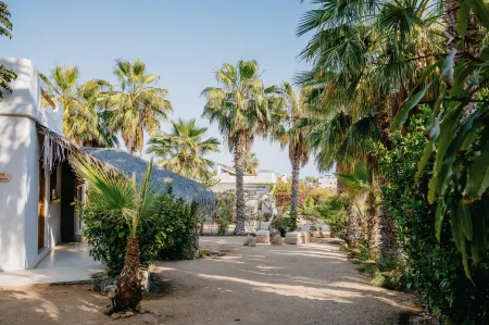 Villa Gardenia - Oceanfront House Mango Отели рядом с достопримечательностью «La Sonrisa de la Muerte»