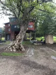 Treehouse too - Poplar Cabins
