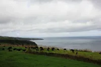 Vivenda Mar e Sol Hotel a Nordeste