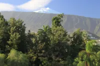 Apartment with fantastic panoramic views to the Teide and the sea, balcony facing west