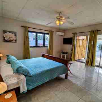 Huge Villa!Walk to Beach, Casinos, and Restaurants.Private Pool & Swim-up Bar. Rooms