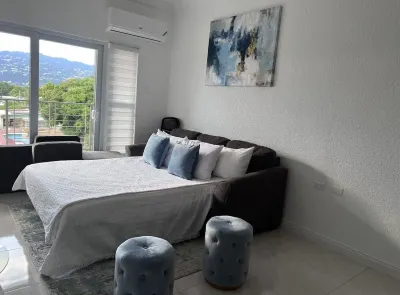 Luxury one bed room apartment with AC, roof top pool, WIFI located in Kingston. Hotels in 