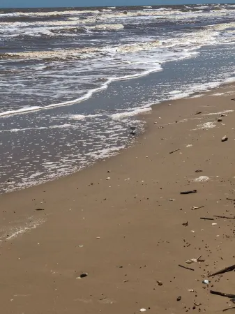 Getaway By The Bay Unit 1