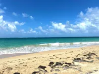 Rainforest Relaxation at Casa Golden Coqui
