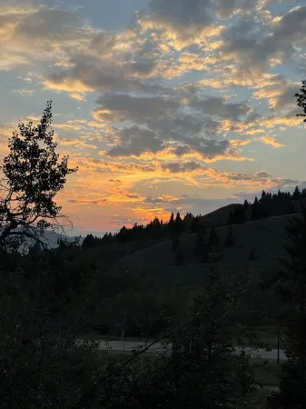 Cozy Timber Cabin 13 miles to Yellowstone National Park!