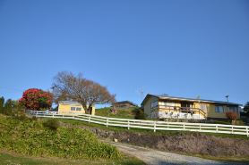 Waitomo Big Bird Retreat