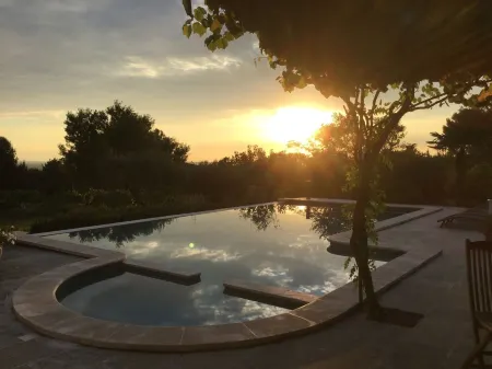 Property in the vaucluse province: Infinity pool / Jacuzzi / View