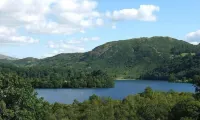 Riverville - 4-Star