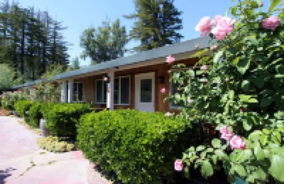 The Woods Hotel - Gay Lgbtq Cabins