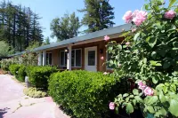 The Woods Hotel - Gay Lgbtq Cabins Hotels in Monte Rio