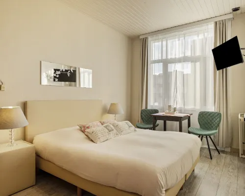 Hotel Georges Hotels in De Haan