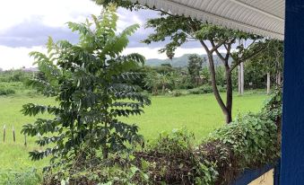 Sana El Jardin Secreto
