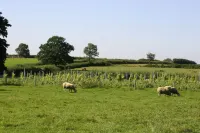 The Swallows Rest Bed & Breakfast - Homestays