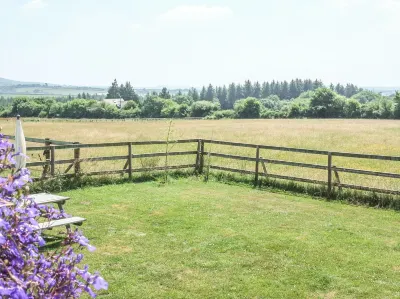 View the Gallery