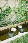 Seven Branches Venue and Inn Hotels in Glen Ellen