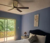 Caret Bay Tropical Hideaway Apt Hotels in West End