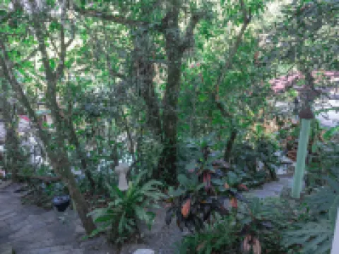 Hotel Paraíso Encantado Xilitla Hoteles en Xilitla