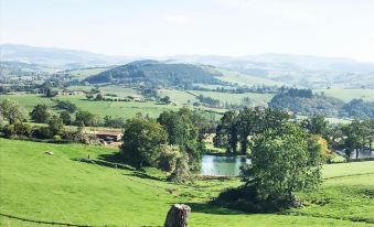 Chambre d'hôtes les Myriades d'Or