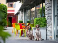 ذا روس فنادق في كيلارني